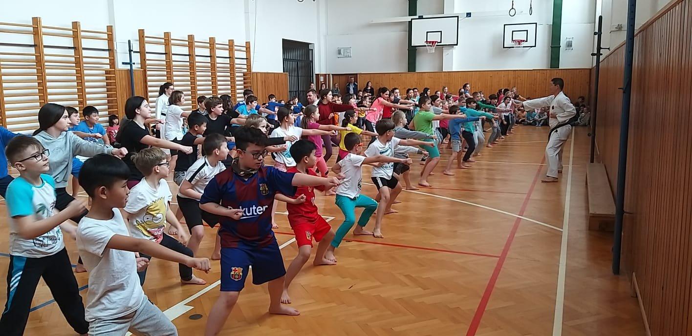 Výuka karate do na ZŠ