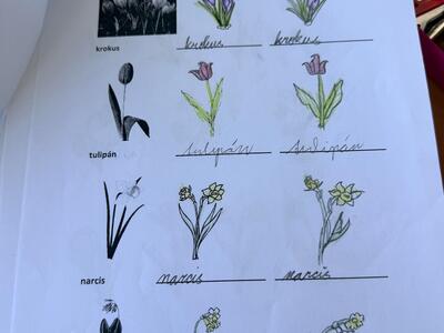 DUBEN