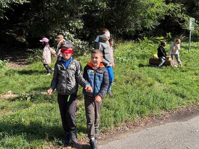 Koniklec 15.9.