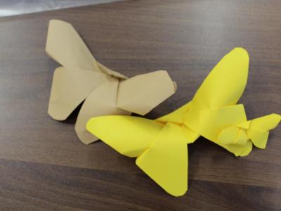 ORIGAMI