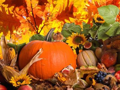 Týden 17.10.-21.10. 2022