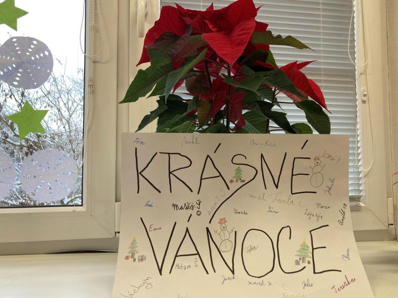 Vánoční týden