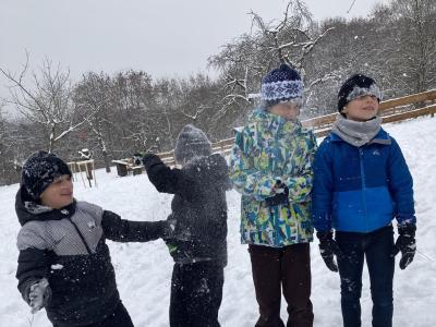 Týden 23.1. - 27.1. 2023