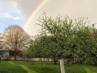 Ozdravný pobyt Žirovnice 12.6.  - 16.6.