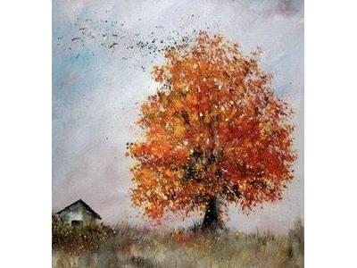 Týdenní plán 16.-20.10.