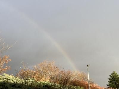 Týden 20.11. - 24.11.
