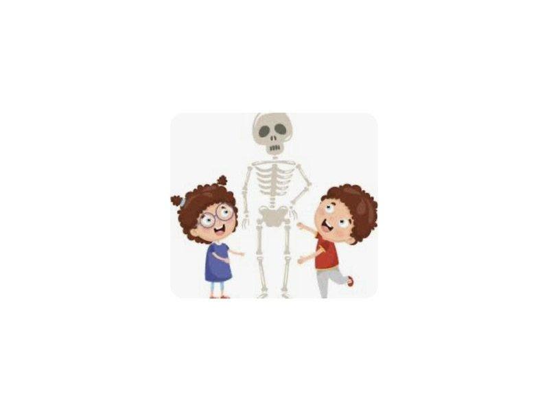 Týdenní plán 15.-19.1.