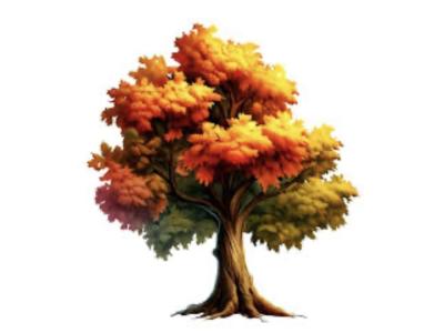 Týdenní plán 13.-17.10.