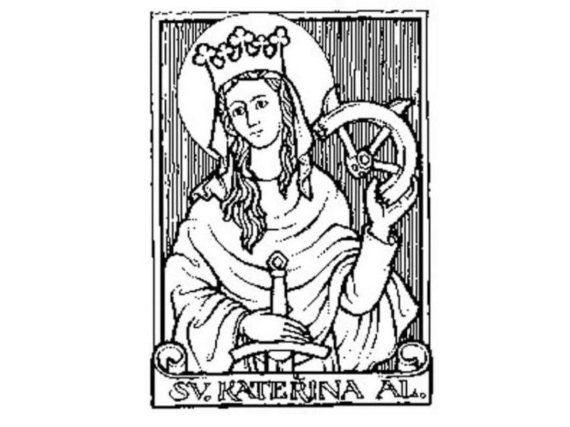 Týdenní plán 24.-28.11.