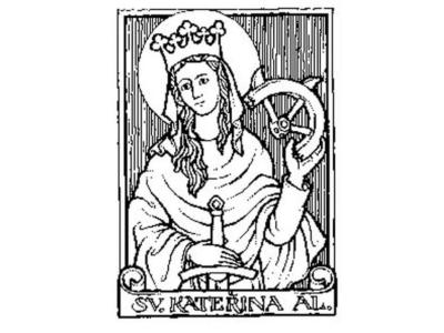 Týdenní plán 24.-28.11.