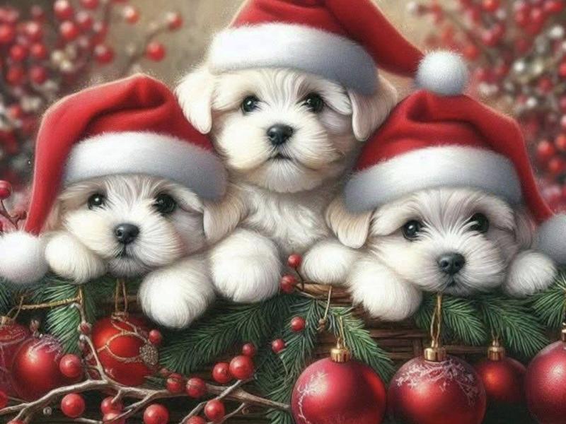 Prosinec, čas adventu a Vánoc