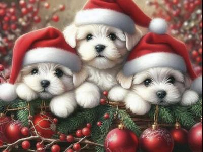 Prosinec, čas adventu a Vánoc