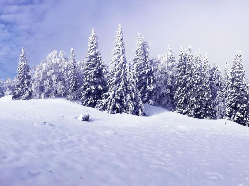 Týdenní plán 12.1.-16.1.