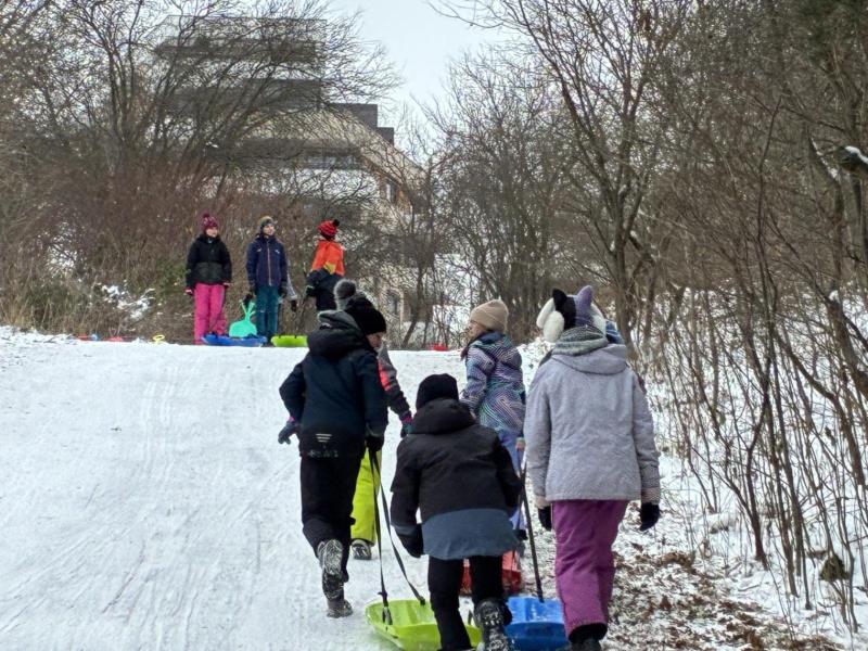 Týden 19.01. - 23.01.