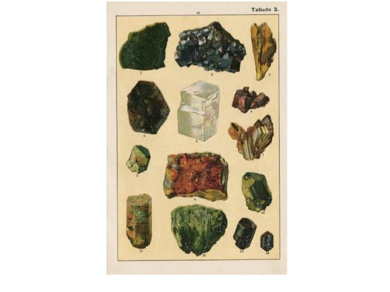 Týdenní plán 23.-27.2.