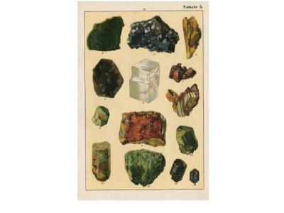 Týdenní plán 23.-27.2.